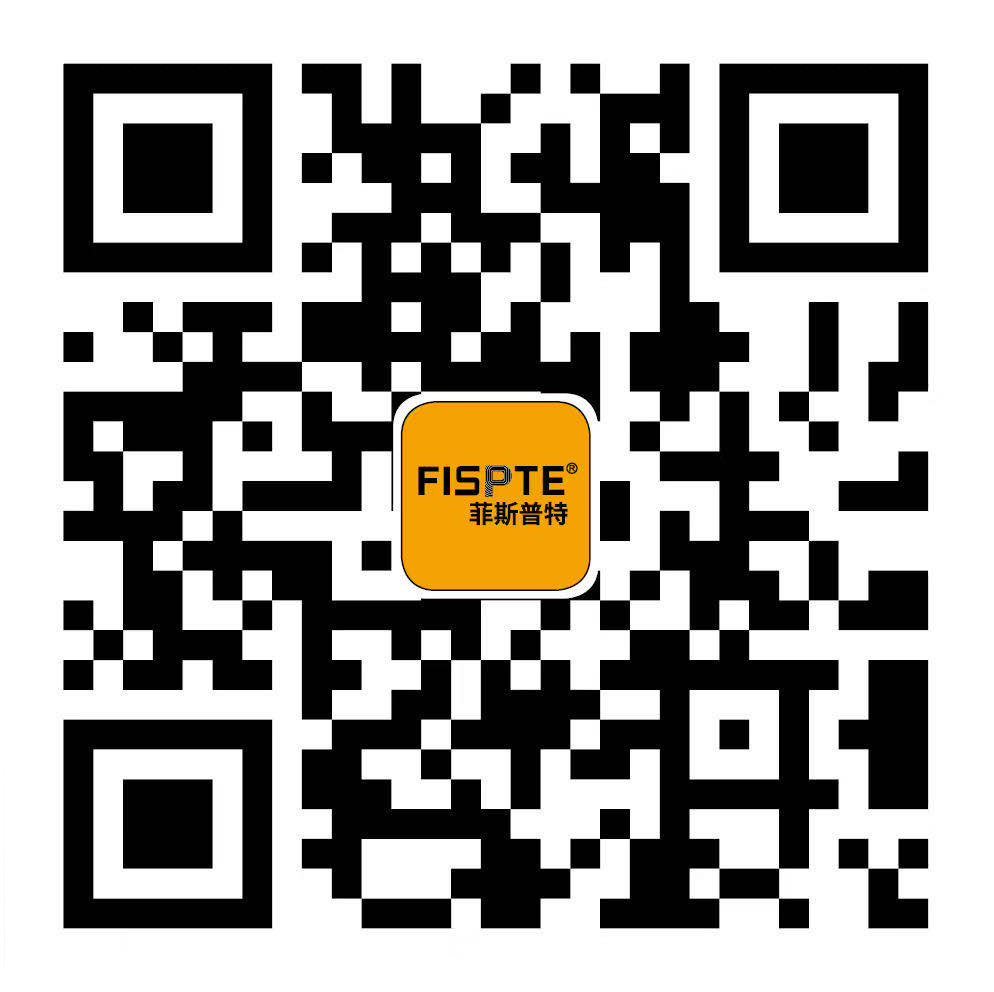 FISPTE GmbH