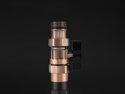 Backwater valve